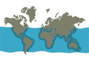 Mapa de distribución de Mola alexandrini. Sección "Nuestra Fauna", Ecuador Terra Incognita