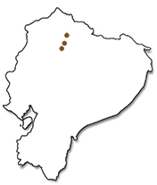 Mapa de distribución del escarabajo aserrador arlequín (Acrocinus longimanus). Sección "Nuestra Fauna", Ecuador Terra Incognita