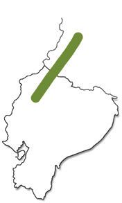 Mapa de distribución de la tangara de dorso musgoso (Bangsia edwardsi). Sección "Nuestra Fauna", Ecuador Terra Incognita