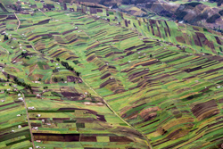 Las laderas andinas han sido cultivadas durante centurias mediante diferentes técnicas. Foto: Jorge Anhalzer