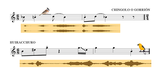 Parte de la partitura de la sinfonía de las Aves, interpretada por el Ensamble del Viento de la universidad de las Américas.