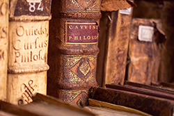 Lomos de libros antiguos en la biblioteca de San Agustín, Quito. Foto: Andrés Vallejo