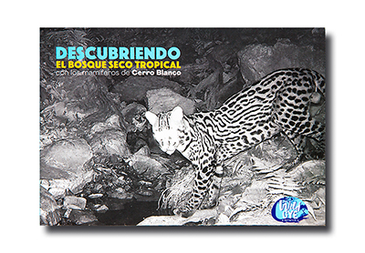 Portada del libro: Mena, Patricio, 2021. Diversidades: Ensayos sobre Ciencia, Naturaleza, Cultura y Arte. Entretextos, Quito