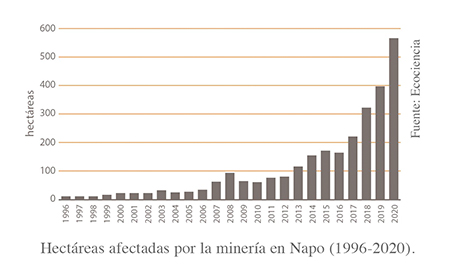 Hectáreas afectadas por la minería en Napo (1996-2020). Fuente: Ecociencia