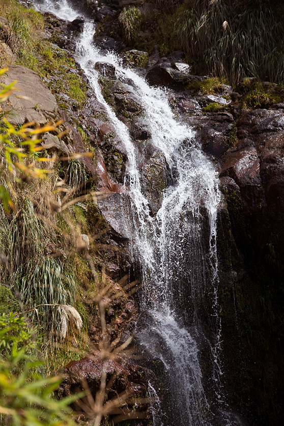 Los prístinos nacimientos del río Machángara, en La Chorrera, en las faldas del Pichincha. Foto: Andrés Vallejo
