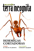 hh