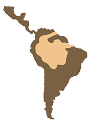 Mapa de distribución de la charapa gigante (Podocnemis expansa). Sección "Nuestra Fauna", Ecuador Terra Incognita