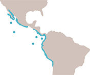Mapa de distribución de la vieja copetona (Bodianus diplotaenia). Sección "Nuestra Fauna", Ecuador Terra Incognita