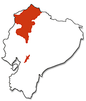 Mapa de distribución del kiki o rana diablito (Oophaga sylvatica). Sección "Nuestra Fauna", Ecuador Terra Incognita