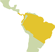 Mapa de distribución de la culebra jueteadora (Chironius exoletus). Sección "Nuestra Fauna", Ecuador Terra Incognita