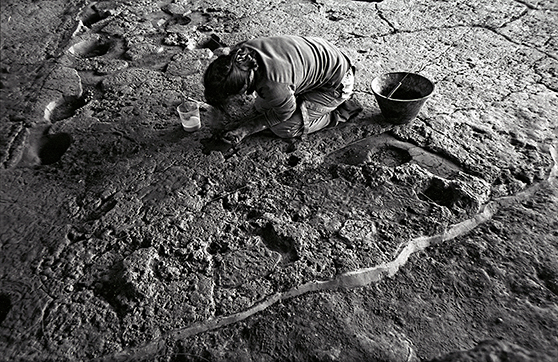 Investigaciones arqueológicas en Cochasquí, que según algunas hipótesis constituyó un observatorio astronómico. Foto: Andrés Vallejo