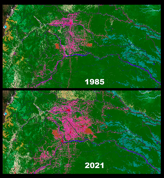 Mapa de usos de suelo generado en la plataforma MapBiomas, que muestra el avance de la deforestación en torno a Coca y Lago Agrio entre 1985 y 2021.